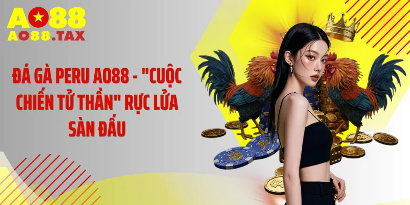Đá Gà Peru AO88 - "Cuộc Chiến Tử Thần" Rực Lửa Sàn Đấu