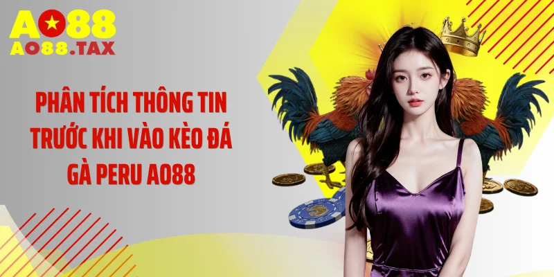 Phân tích thông tin trước khi vào kèo đá gà Peru AO88